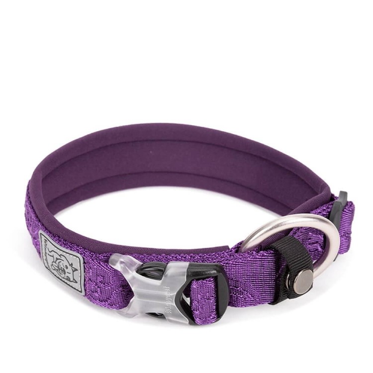 Obroza-dla-psa-Winhyepet-Classic-fioletowy.jpg