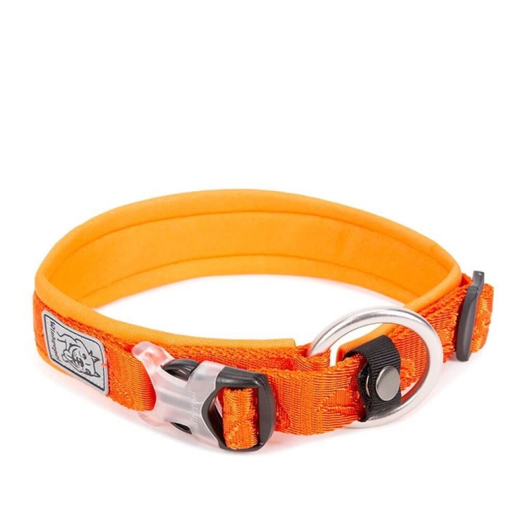 Obroza-dla-psa-Winhyepet-Classic-pomaranczowa.jpg