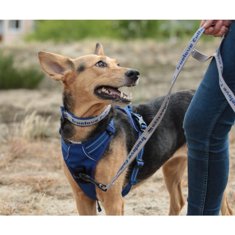 Szelki-dla-psa-easy-walk-Truelove-Front-Line-granatowe