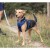 Szelki-dla-psa-easy-walk-Truelove-Front-Line-granatowe