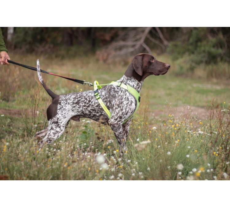 Szelki-dla-psa-guard-Truelove-Lumen