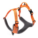 Szelki guard easy walk dla psa Truelove Lumen pomarańczowe