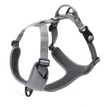 Truelove Lumen Easy Walk – szare odblaskowe szelki guard dla psa z kieszenią na lampkę LED