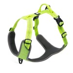 Truelove Lumen Easy Walk – żółte szelki typu guard z kieszenią na lampkę LED i odblaskami