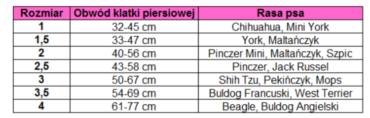 Zrzut ekranu 2024-06-12 135706.png