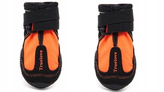 buty-dla-psa-truelove-long-distance-pomaranczowe