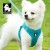 Szelki---smycz-dla-malego-psa-i-kota-Truelove-Mini-Mesh-niebieskie