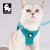 Szelki---smycz-dla-malego-psa-i-kota-Truelove-Mini-Mesh-niebieskie