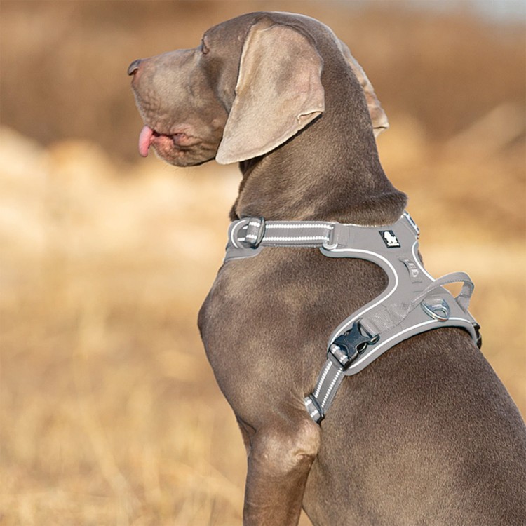 Szelki-guard-easy-walk-dla-psa-Truelove-Front-Line-Premium-szare