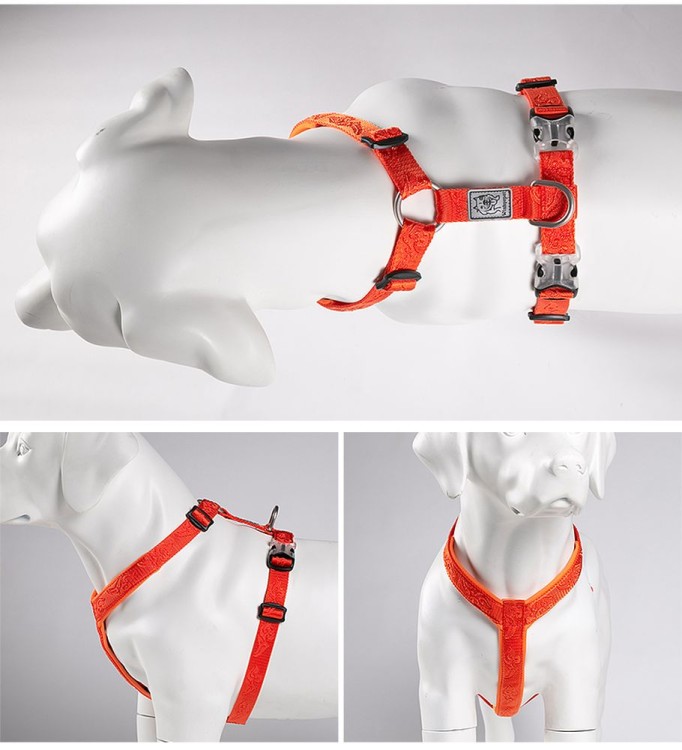 Szelki-dla-psa-guard-Winhyepet-Classic