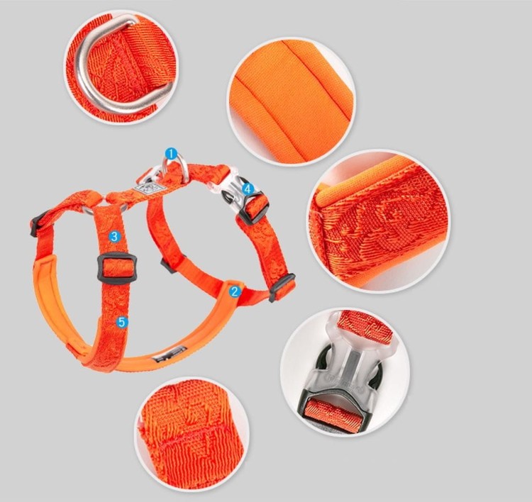 Szelki-dla-psa-guard-Winhyepet-Classic