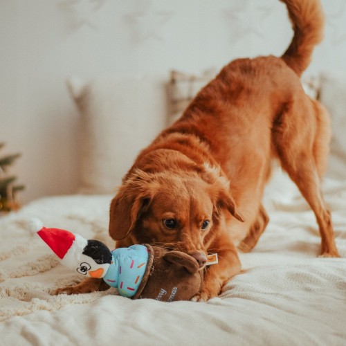 Pluszowy pingwin w kubku z piszczałką