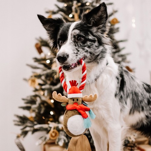 Pluszowy renifer ze sznurem do przeciągania