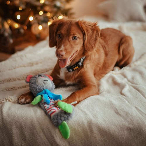 Pluszowy miś Yoko z szeleszczącym wnętrzem i piszczałką