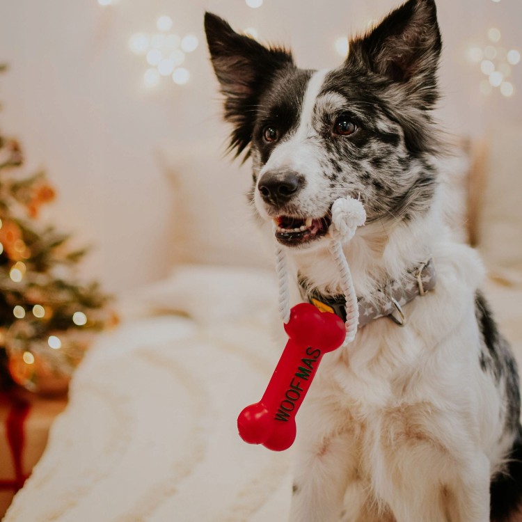 Świąteczny sznur z kością dla psa „WOOFMAS” 13 cm