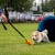Szarpak mop Dingo na długiej taśmie 130 cm