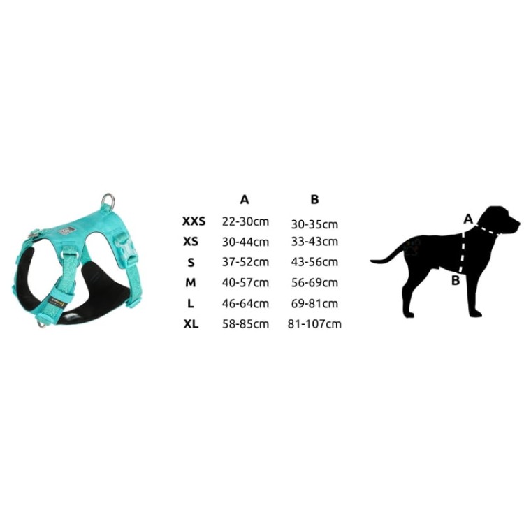 Szelki-dla-psa-easy-walk-wodoodporne-Truelove-Adventure-Soft-blekitny