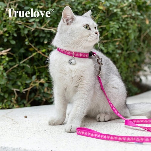 Szelki-smycz-dla-kota-Truelove-Buterfly-rozowe