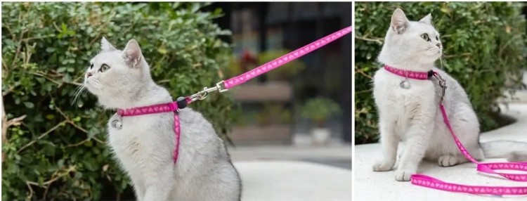 Szelki-smycz-dla-kota-Truelove-Buterfly-rozowe