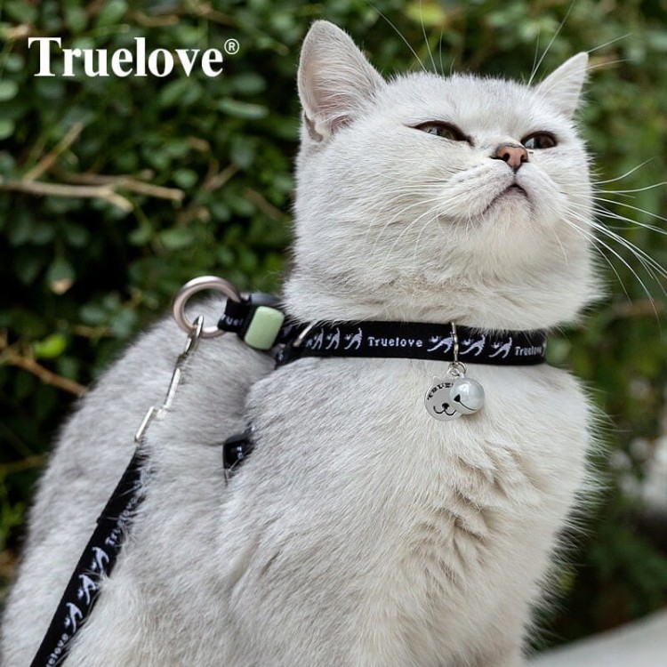 Szelki-smycz-dla-kota-Truelove-Buterfly-czarne