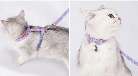 Szelki i smycz dla kota, regulowane Truelove Locust błękitno-różowe