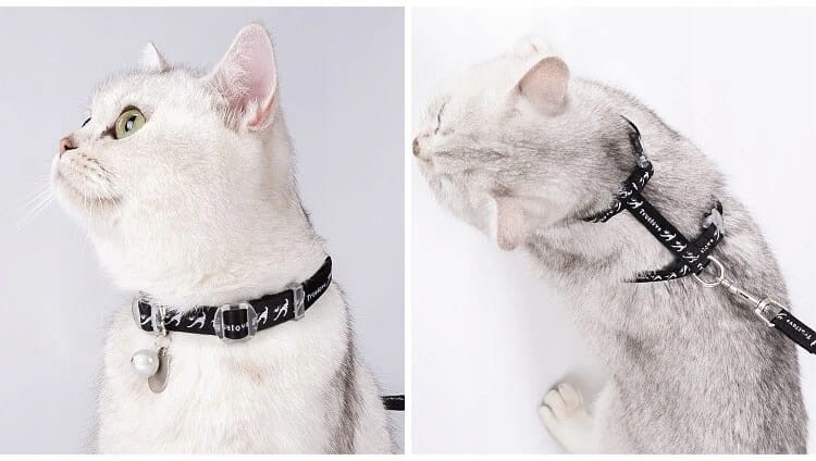 Szelki i smycz dla kota, regulowane Truelove Locust czarne