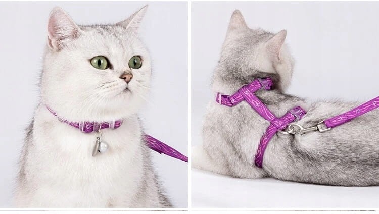 Szelki i smycz dla kota, regulowane Truelove Locust fioletowe