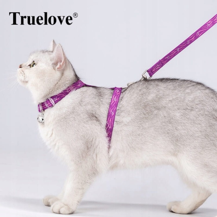 Szelki i smycz dla kota, regulowane Truelove Locust fioletowe