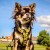 eaa819e7cfb62bef289a1d8879e65623.jpg