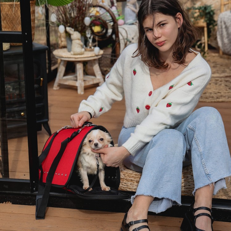 Torba transportowa dla małego psa / kota Dingo "TO GO"
