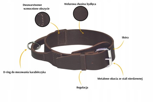 Obroza-dla psa-z-uchwytem-skorzana-DINGO-Soft