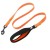 Smycz-dla-psa-Truelove-Lumen