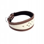 Obroża ze skóry dla psa charta, whippeta – ozdobna, kolekcja DINGO SOFT