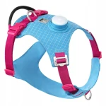 Truelove Tracker Easy Walk – turkusowe szelki typu guard dla psa z lampką LED i miejscem na lokalizator