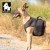 Szelki-dla-psa-samochodowe-Truelove-Expedition