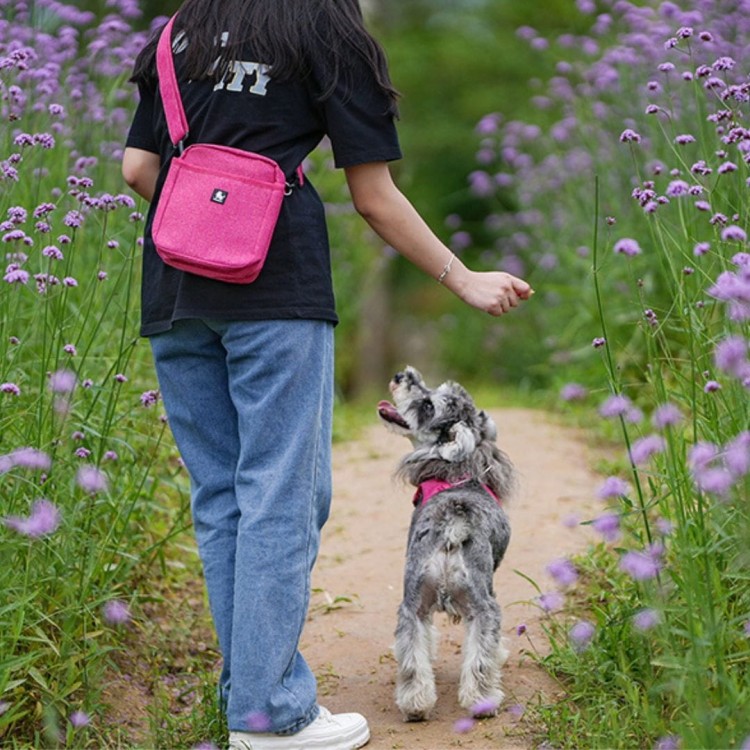 torba-na-przysmaki-dla-psa-Truelove-Treat-basic-rozowa