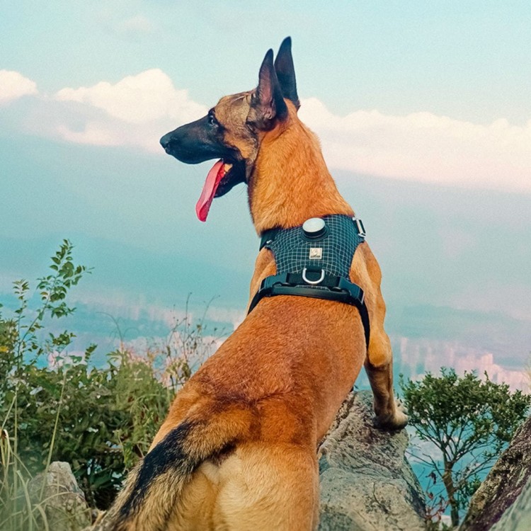 Szelki-guard-easy-walk-z-lampka-led-Tracker-Truelove