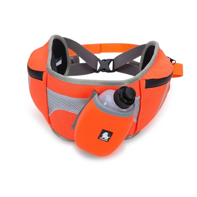 Pas-trekkingowy-do-biegania-Truelove-Trek-Go