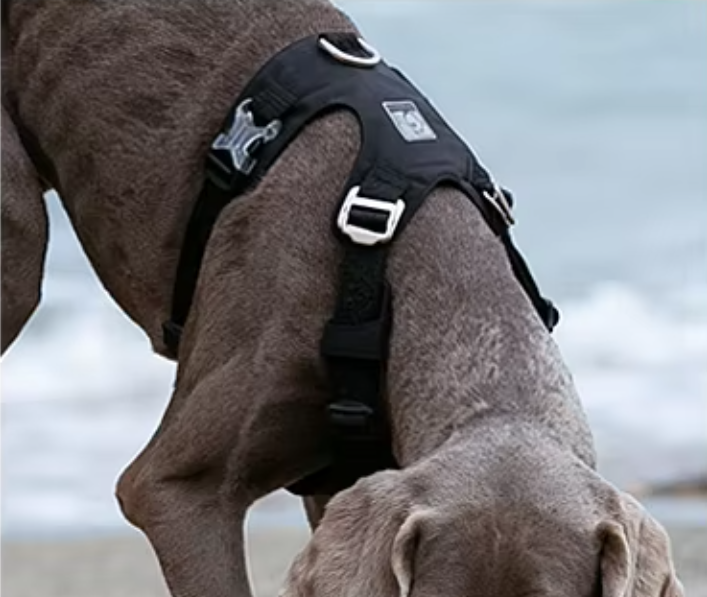 Szelki-dla-psa-easy-walk-wodoodporne-Truelove-Adventure-Soft-czarne