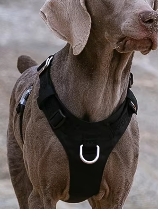 Szelki-dla-psa-easy-walk-wodoodporne-Truelove-Adventure-Soft-czarne