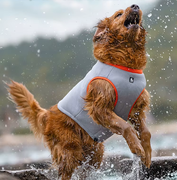 Kamizelka-chlodzaca-dla-psa-Truelove