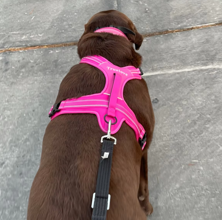 Szelki-dla-psa-guard-Truelove-Security-rozowe