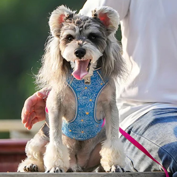 Szelki-smycz-dla-malego-psa-Truelove-Lightness-niebieskie