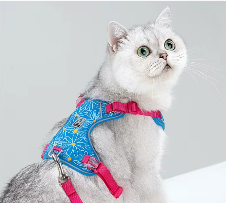 Szelki-smycz-dla-malego-psa-Truelove-Lightness-niebieskie