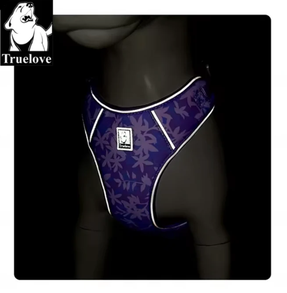 Szelki-smycz-dla-malego-psa-Truelove-Lightness-fioletowe