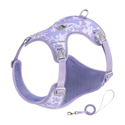 Szelki-smycz-dla-malego-psa-Truelove-Lightness-fioletowe
