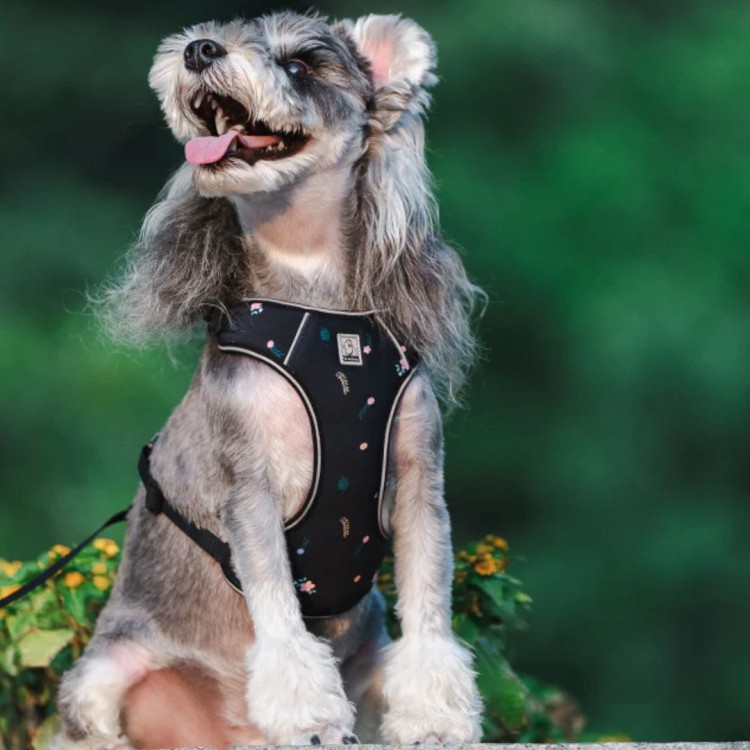 Szelki-smycz-dla-malego-psa-Truelove-Lightness-czarne