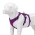 Szelki-antyucieczkowe-dla-psa-Winhyepet-Escape-Soft