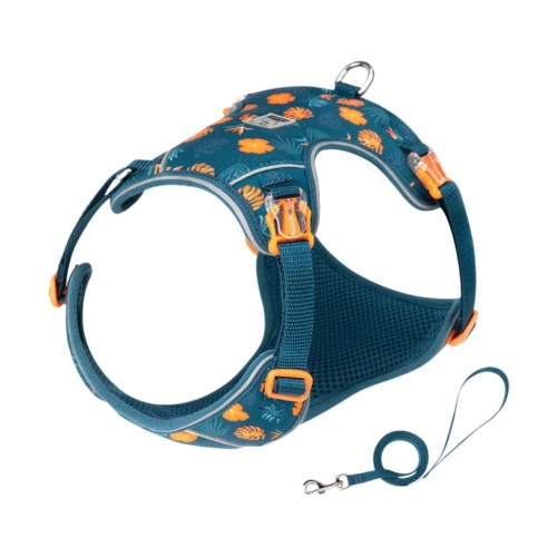 Szelki-smycz-dla-malego-psa-Truelove-Lightness-zielone