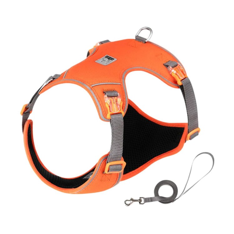 Szelki-smycz-dla-malego-psa-Truelove-Lightness-pomaranczowe